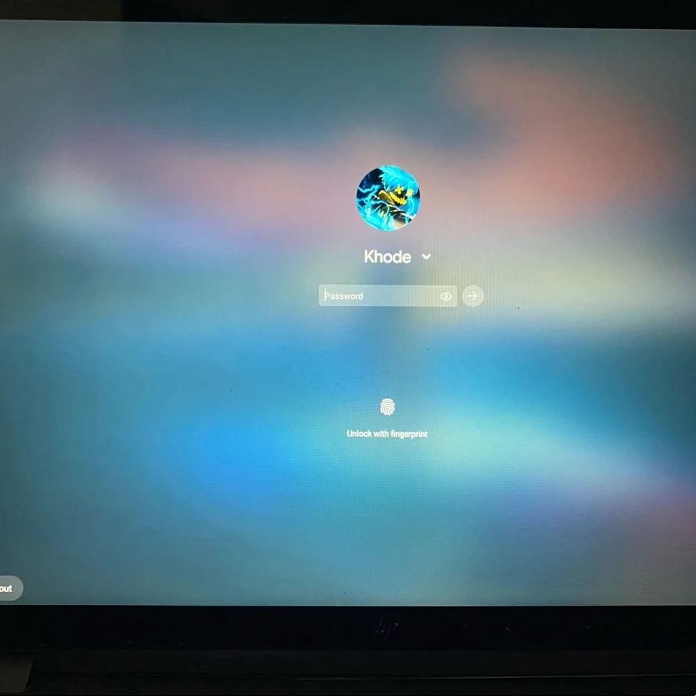 Hp touchscreen chromebook